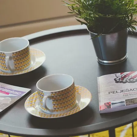 Ponta Apartamento Ston